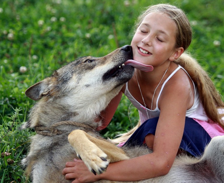 http://www.homesteadswag.com/uploadfile/2014/0819/20140819042828648.jpg