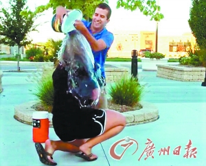 http://www.homesteadswag.com/uploadfile/2014/0822/20140822105915789.jpg