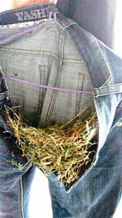 http://www.homesteadswag.com/uploadfile/2015/0421/20150421024458438.jpg