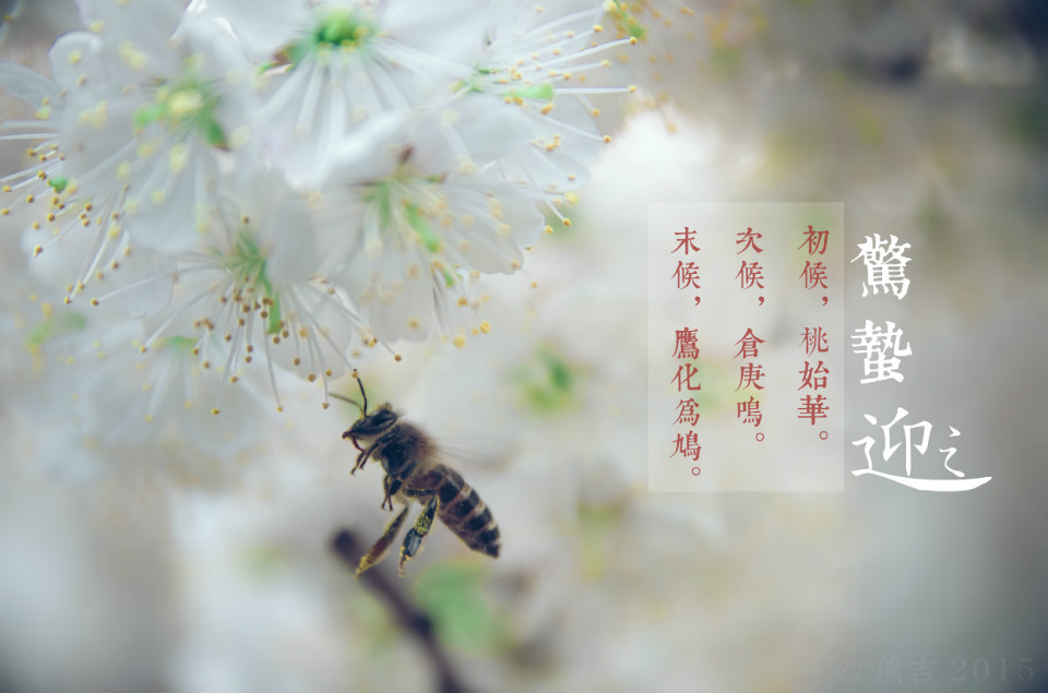 驚蟄吃這5種蔬菜，養(yǎng)生排毒效果佳