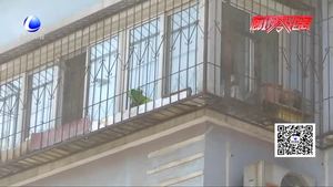空中墜物業(yè)主車被砸 萬(wàn)元修理費(fèi)到底該誰(shuí)出