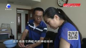 市民吃肉吃出不明物 懷疑是“豬肉絳蟲(chóng)”