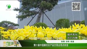 第21屆中國廊坊農(nóng)產(chǎn)品交易會(huì)亮點(diǎn)紛呈