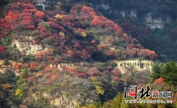 駝梁、大海陀自然保護(hù)區(qū)建設(shè)項(xiàng)目獲準(zhǔn)立項(xiàng)
