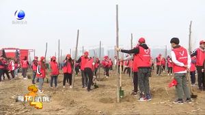 我市各地開展春季義務植樹活動