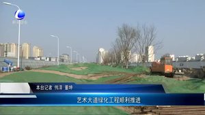 藝術大道綠化工程順利推進