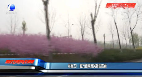 尋春去！廊萬路兩側(cè)風(fēng)景美如畫