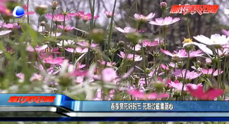春季賞花好時(shí)節(jié) 花粉過敏需留心