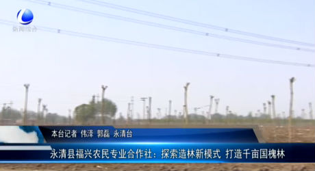 永清縣福興農民專業(yè)合作社