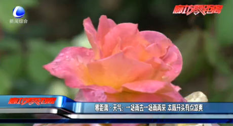 一場(chǎng)雨去一場(chǎng)雨再來(lái) 本周開(kāi)頭有點(diǎn)涼爽
