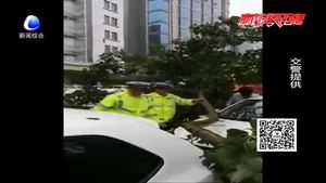 雨天大樹(shù)傾倒砸轎車 交警第一時(shí)間救人