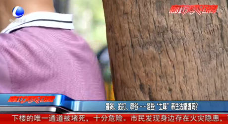 撞樹、拍打、辟谷......這些“土味”養(yǎng)生法靠譜嗎？