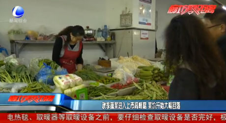 秋季蔬菜進入上市高峰期 蔡家開始大幅回落