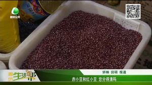 赤小豆和紅小豆 您分得清嗎？