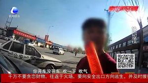 辱罵拉扯踹交警 妨礙執(zhí)行公務被拘留