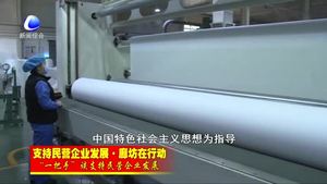 “一把手”談支持民營(yíng)企業(yè)發(fā)展