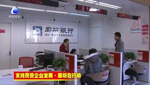 人行廊坊中心支行強化金融服務(wù)功能 助推民營企業(yè)快速發(fā)展