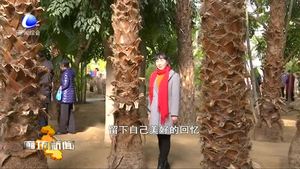 文明旅游：維護景區(qū)環(huán)境讓風景更美麗