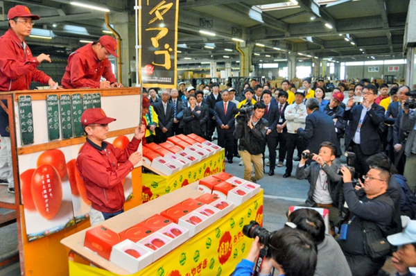 天價！日本宮崎縣芒果“太陽之子”2個賣出50萬日元（圖片來源：朝日新聞網(wǎng)站）