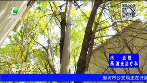 小區(qū)內(nèi)枯樹(shù)斷枝 電桿傾斜存隱患