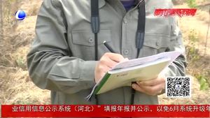 建設(shè)者說(shuō)：一線(xiàn)電力運(yùn)檢工 守護(hù)萬(wàn)家燈火