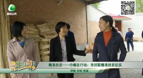 精準扶貧——巾幗在行動：市婦聯精準扶貧紀實