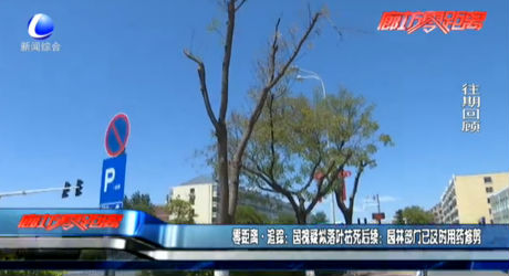 零距離·追蹤：國槐疑似落葉枯死后續(xù)：園林部門已及時(shí)用藥修剪