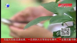 接個(gè)“快遞客服”電話(huà) 小伙被騙10萬(wàn)元
