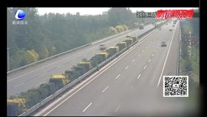 回家心切闖高速 暈倒路中被車(chē)撞