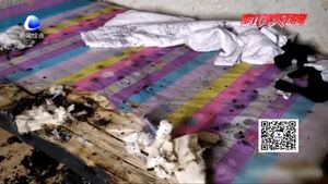 停電后椅子“自燃”差點燒了家？竟是電吹風惹的禍