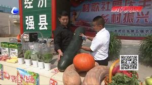 永清縣龍虎莊鄉(xiāng)舉辦“村歌社舞慶豐收 鄉(xiāng)村振興迎華誕”慶祝活動