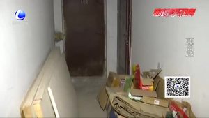 小區(qū)地下室成流浪貓居所 跳蚤成災 物業(yè)：已經發(fā)布清理公告