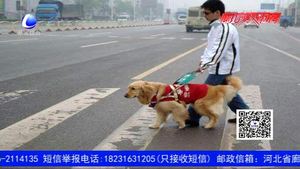 國際盲人節(jié)：盲人的世界不只有黑暗 請(qǐng)用愛為他們守護(hù)“光明”