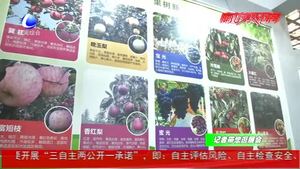 農(nóng)業(yè)插上科技翅膀 新品種新技術閃耀農(nóng)交會
