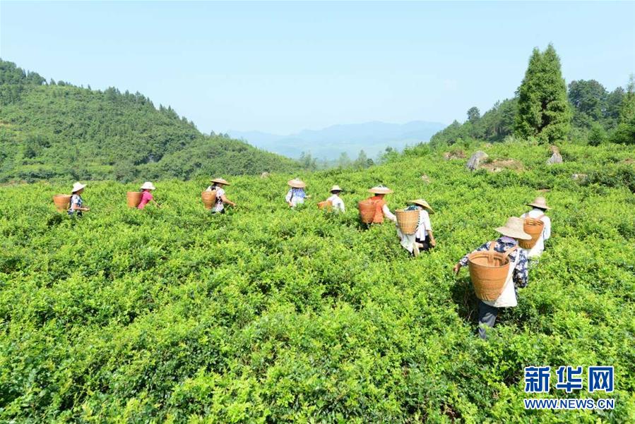 （在習(xí)近平新時代中國特色社會主義思想指引下——新時代新作為新篇章·總書記關(guān)切脫貧事·決勝貧困·圖文互動）（8）易地扶貧搬遷：助力“跨越式”奔小康
