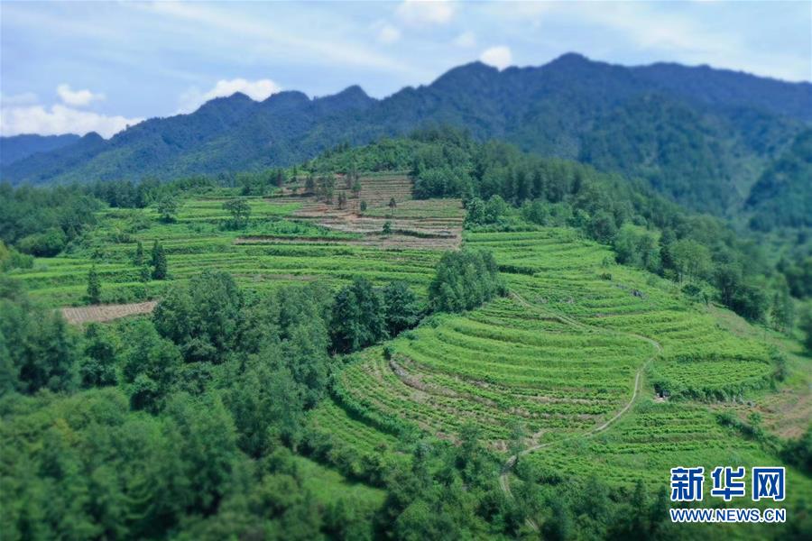 （在習(xí)近平新時代中國特色社會主義思想指引下——新時代新作為新篇章·總書記關(guān)切脫貧事·決勝貧困·圖文互動）（7）易地扶貧搬遷：助力“跨越式”奔小康