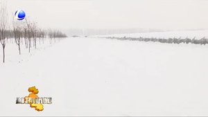 市農(nóng)業(yè)農(nóng)村局應(yīng)對降雪 保障農(nóng)業(yè)生產(chǎn)