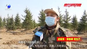春回大地 栽植新綠正當時