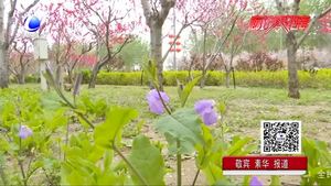 “廊坊：京津走廊上的一座花園城市” 我市打造多處景觀建筑 園林建設(shè)受市民點贊