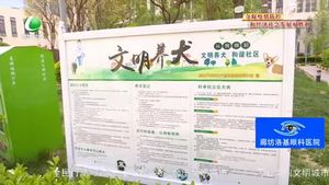 創(chuàng)城，我們一起：專項整治在行動 引導市民依法文明養(yǎng)犬