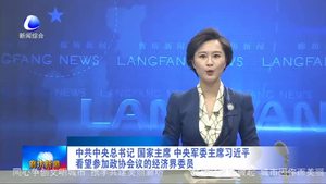 中共中央總書(shū)記 國(guó)家主席 中央軍委主席習(xí)近平看望參加政協(xié)會(huì)議的經(jīng)濟(jì)界委會(huì)