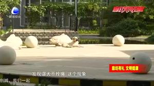 我市開展“文明養(yǎng)犬、愛護環(huán)境”行動  加強養(yǎng)犬管理提升城市形象