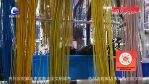 【惠民生】三河市廊坊萊尼：生產(chǎn)滿(mǎn)負(fù)荷 穩(wěn)崗保就業(yè)
