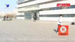 2021年春運(yùn)購(gòu)票攻略新服務(wù)上線(xiàn)