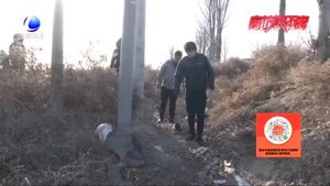 路遇車禍見義勇為 愛心溫暖無(wú)助傷者