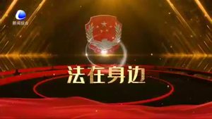【法在身邊】瞞報(bào) 謊報(bào)疫情 要付出怎樣的代價(jià)？