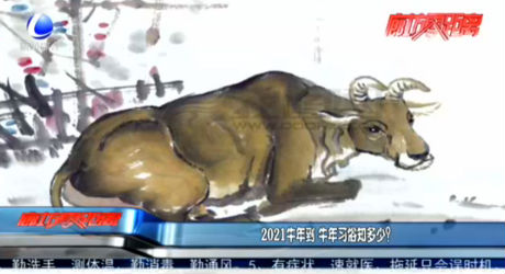 2021牛年到 牛年習(xí)俗知多少？