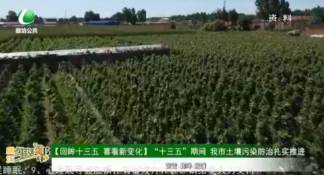 【回眸十三五 喜看新變化】“十三五”期間 我市土壤污染防治扎實推進(jìn)