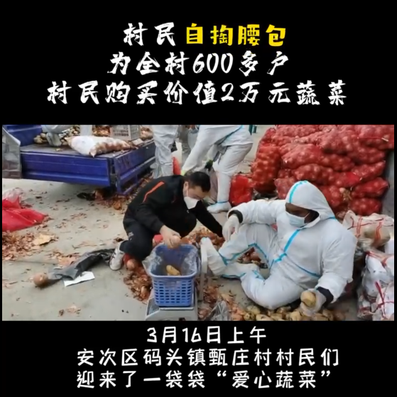 村民自掏腰包為全村600多戶村民 購(gòu)買價(jià)值2萬元蔬菜