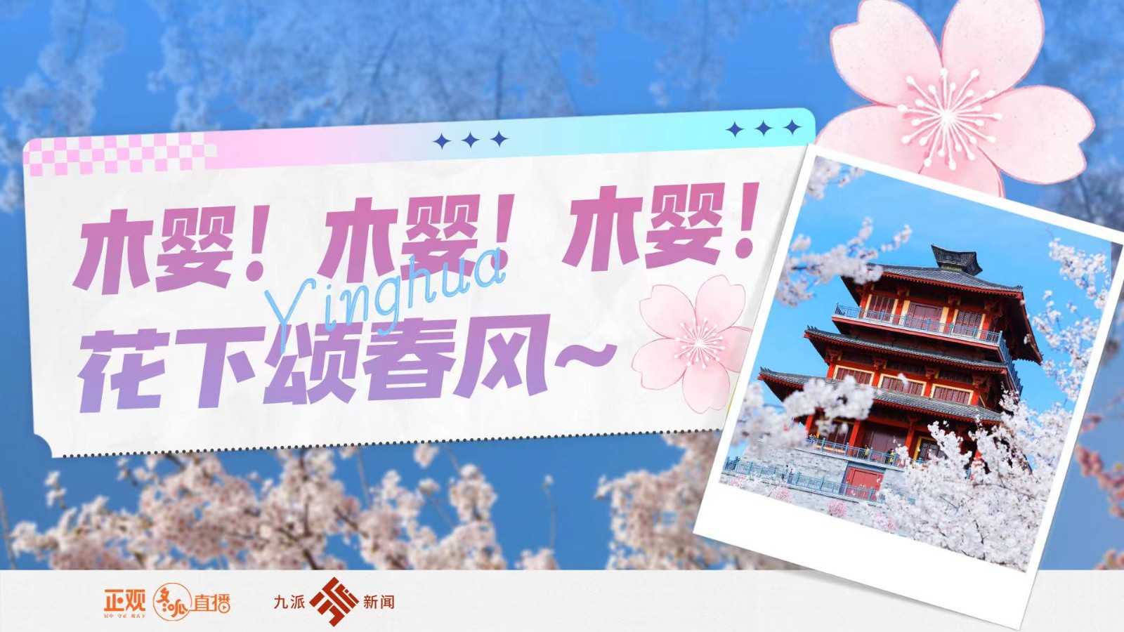 木嬰！木嬰！木嬰！花下頌春風(fēng)~
